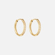 Zircon Örhängen 18k Guldplätering 16mm