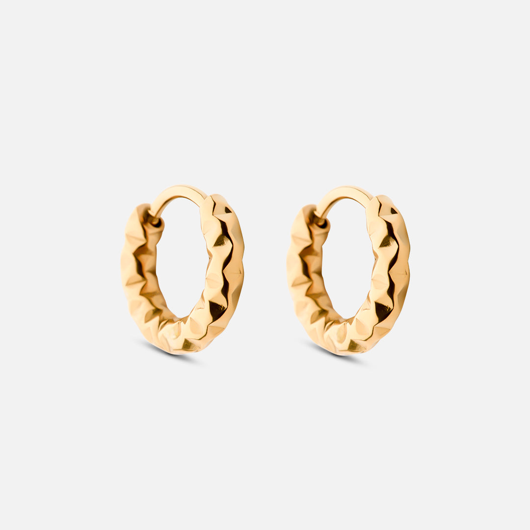 Astra örhängen med ringar 18k Guldplätering 12 mm